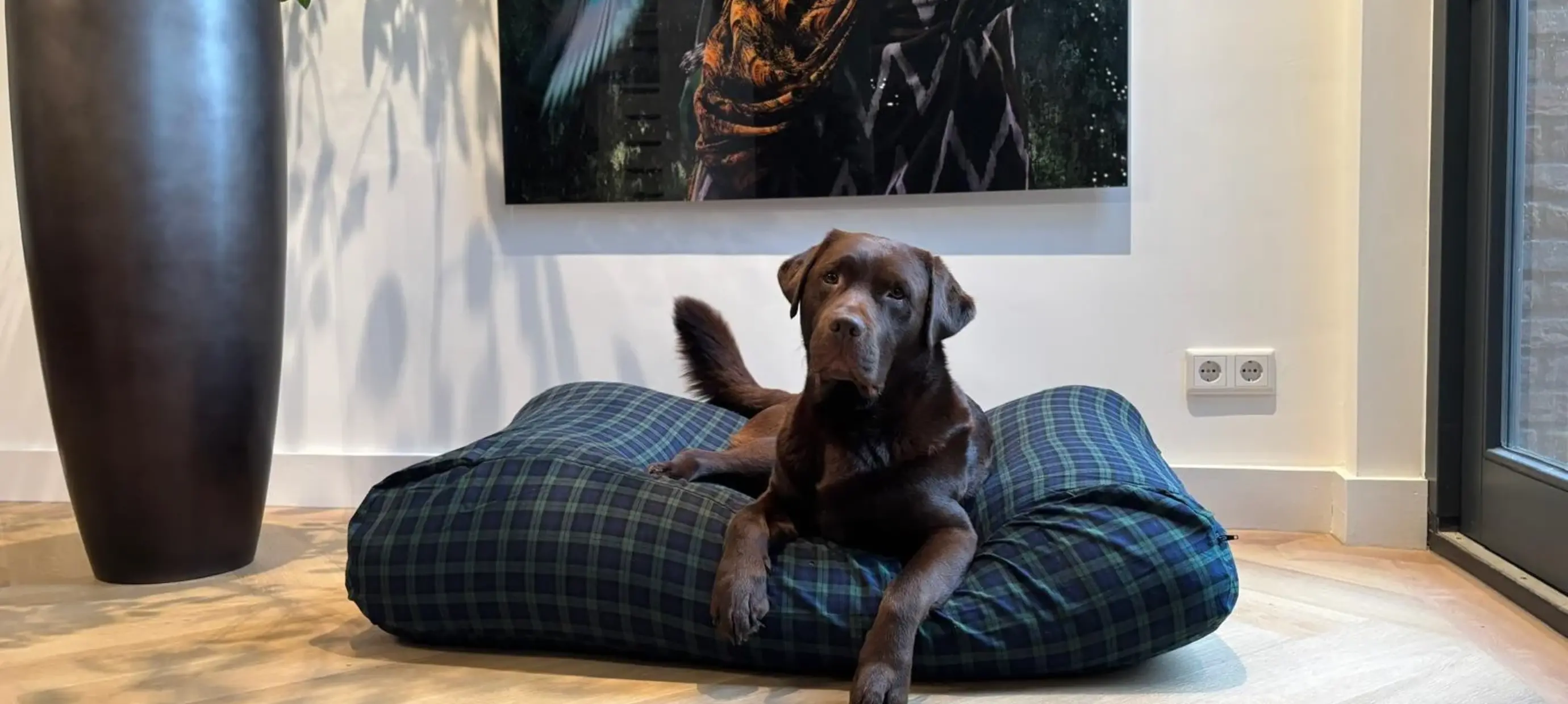 Welke maat hondenbed past bij jouw hond? Tips & advies