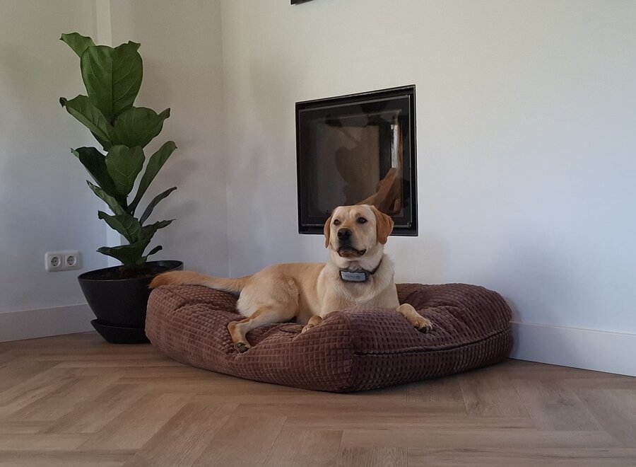 Little Square Soft Brown Hondenkussen | Luxe Bruin Velours Hondenbed met EPS-Parels | Dog's Companion