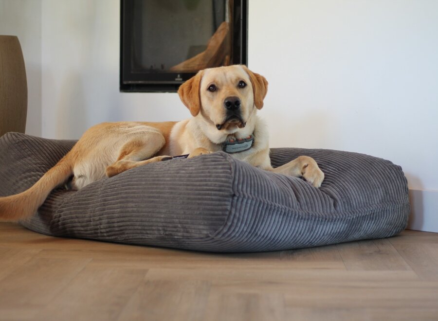 Dog’s Companion Grijs Giant Ribcord Hondenkussen Muisgrijs | Orthopedisch, Wasbaar, Navulbaar & Duurzaam