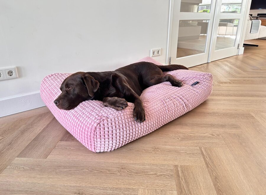Dog’s Companion Soft Pink Velours Hondenkussen | Orthopedisch, Wasbaar, Navulbaar & Duurzaam