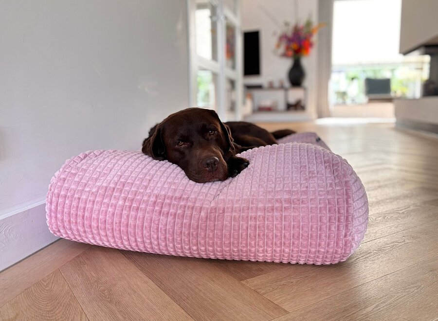 Dog’s Companion Soft Pink Velours Hondenkussen | Orthopedisch, Wasbaar, Navulbaar & Duurzaam