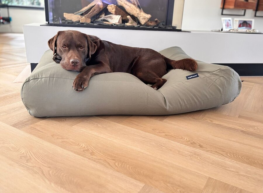 Basalt canvas hondenkussen | Groen orthopedisch hondenbed met wasbare hoes en EPS-vulling | Dog's Companion