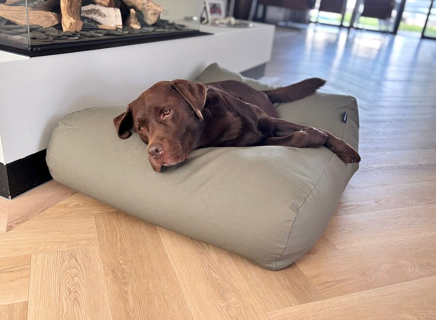 Basalt canvas hondenkussen | Groen orthopedisch hondenbed met wasbare hoes en EPS-vulling | Dog's Companion