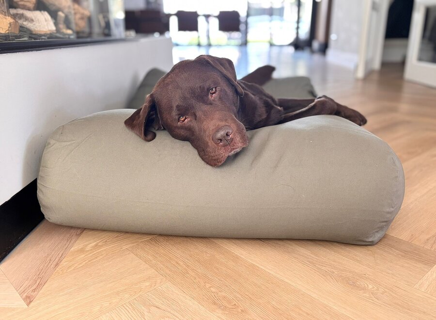 Basalt canvas hondenkussen | Groen orthopedisch hondenbed met wasbare hoes en EPS-vulling | Dog's Companion