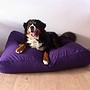 Hondenbed paars superlarge