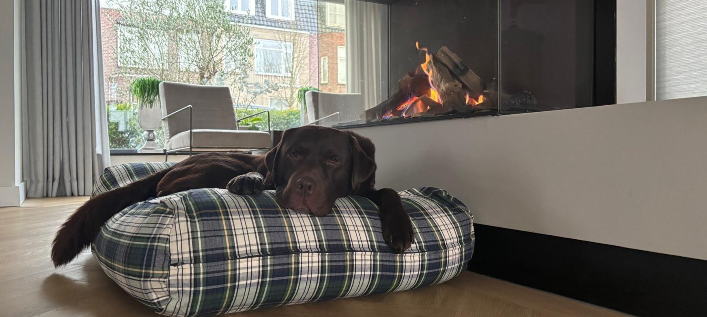 Duurzaam hondenkussen: comfortabel, orthopedisch en eco-vriendelijk voor elke hond