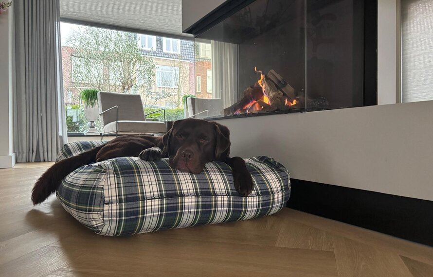 Duurzaam hondenkussen: comfortabel, orthopedisch en eco-vriendelijk voor elke hond