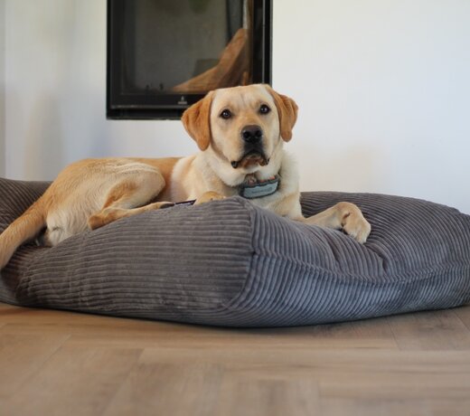 Winterproof Hondenkussens | Warme, Isolerende en Navulbare Hondenbedden met EPS-Parels voor Maximale Comfort en Bescherming tegen Koude Vloeren