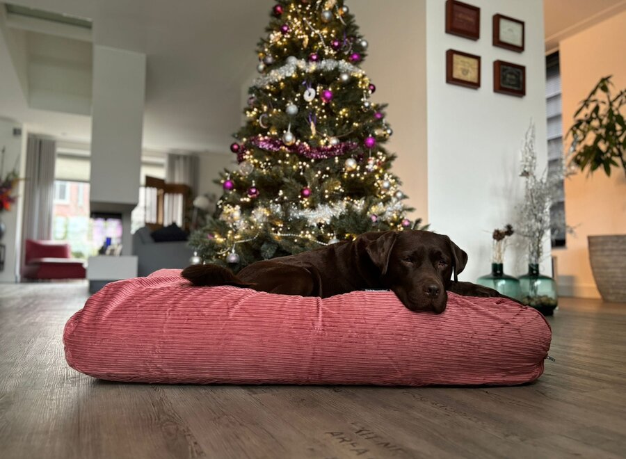 Hondenbed oud roze double ribcord superlarge