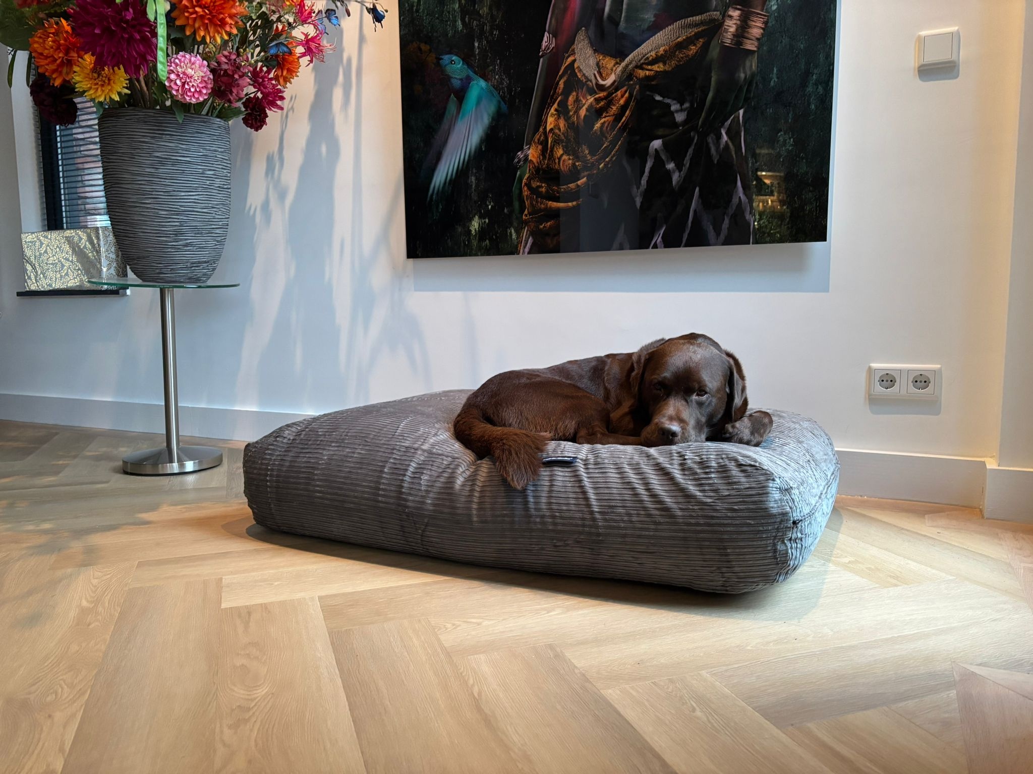 Dog's Companion® Hondenbed muisgrijs double ribcord superlarge