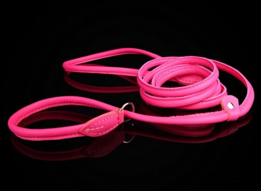 Leren retrieverlijn 120 & 180 cm (met dubbele stop)