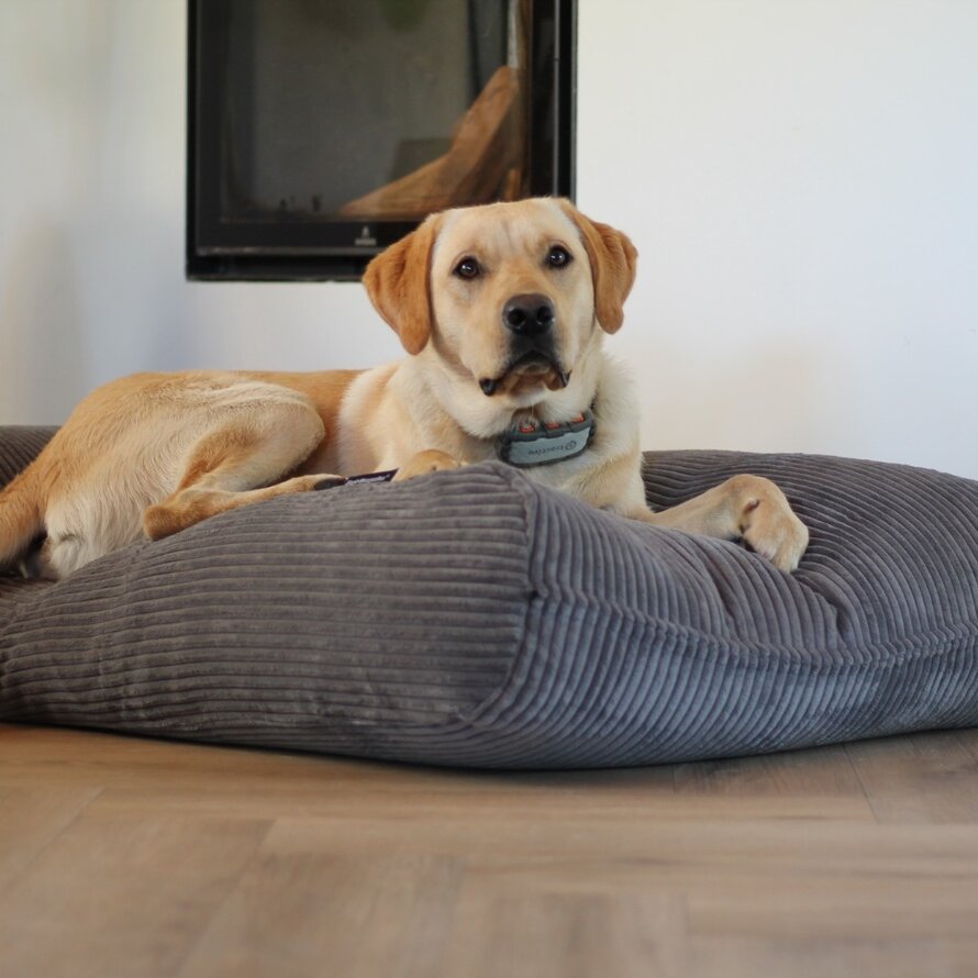 Zachtste en warmste hondenkussens en hoezen