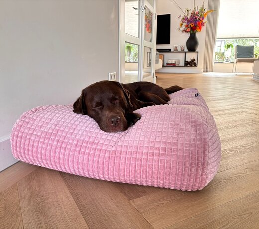 Geef je interieur een frisse lentelook met zachte kleuren, lichte materialen en comfortabele hondenkussens die perfect passen bij het voorjaar