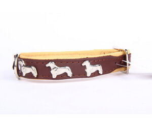 Halsband hond - Koop de leukste halsbanden voor je viervoeter