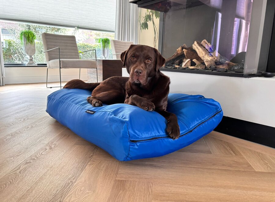 Hondenkussen kobalt blauw vuilafstotende coating