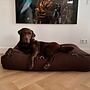Hondenkussen chocolade bruin
