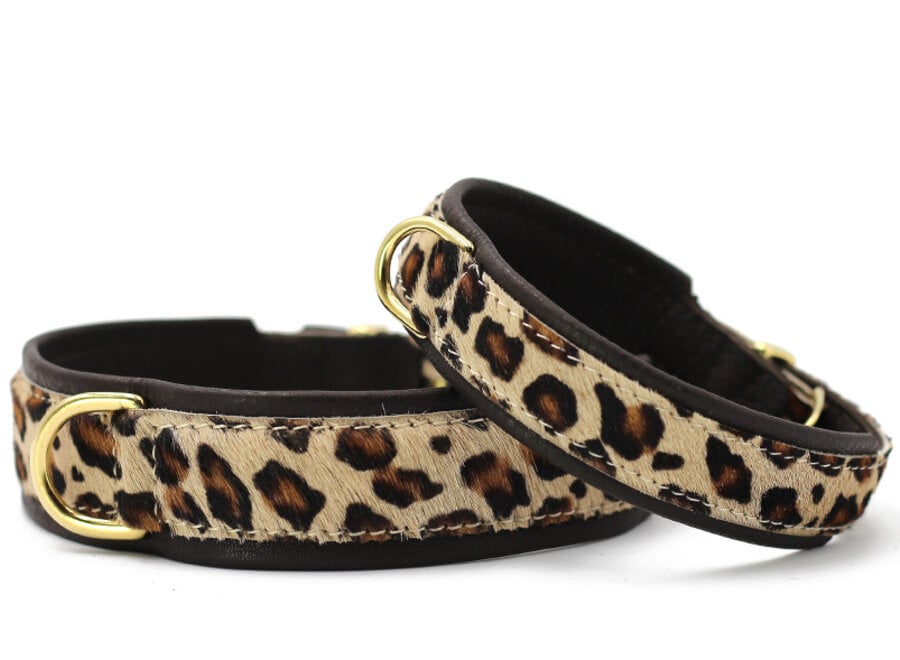 Leren halsband Afrika, luipaard/goud, 65 cm / 45 mm