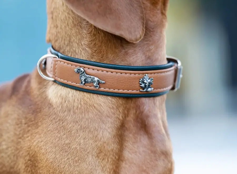Exclusieve leren hondenhalsband met teckel en eikenblad applicaties, cognac/groen met zilveren details, zacht nappaleer, 35-45 cm, 24 mm