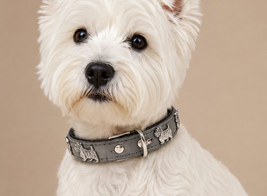 Leren halsband Westie