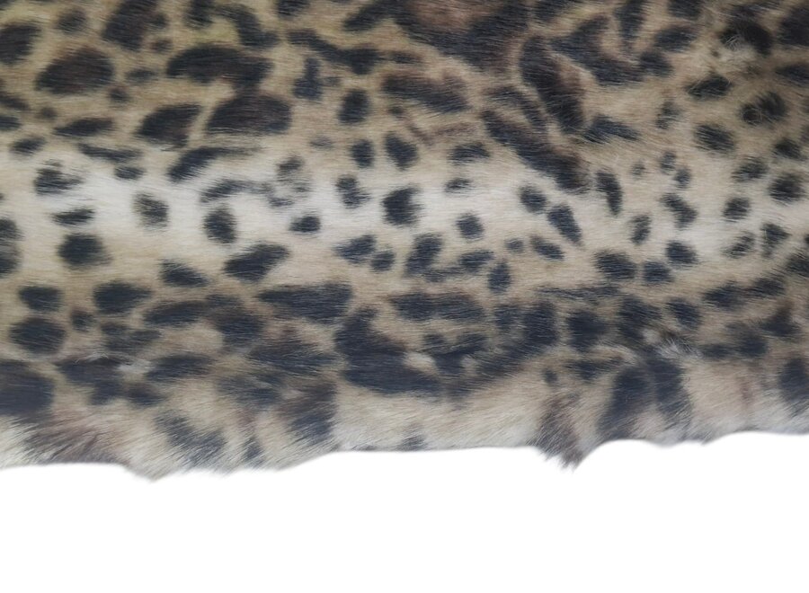 Hondendeken Leopard 70 x 50 cm
