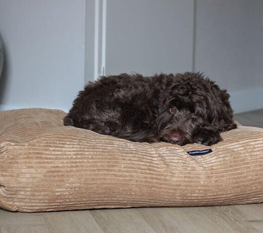 Hondenkussen Medium 90 × 70 cm voor middelgrote honden
