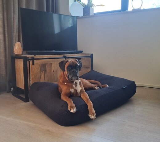 Ribcord hondenkussens