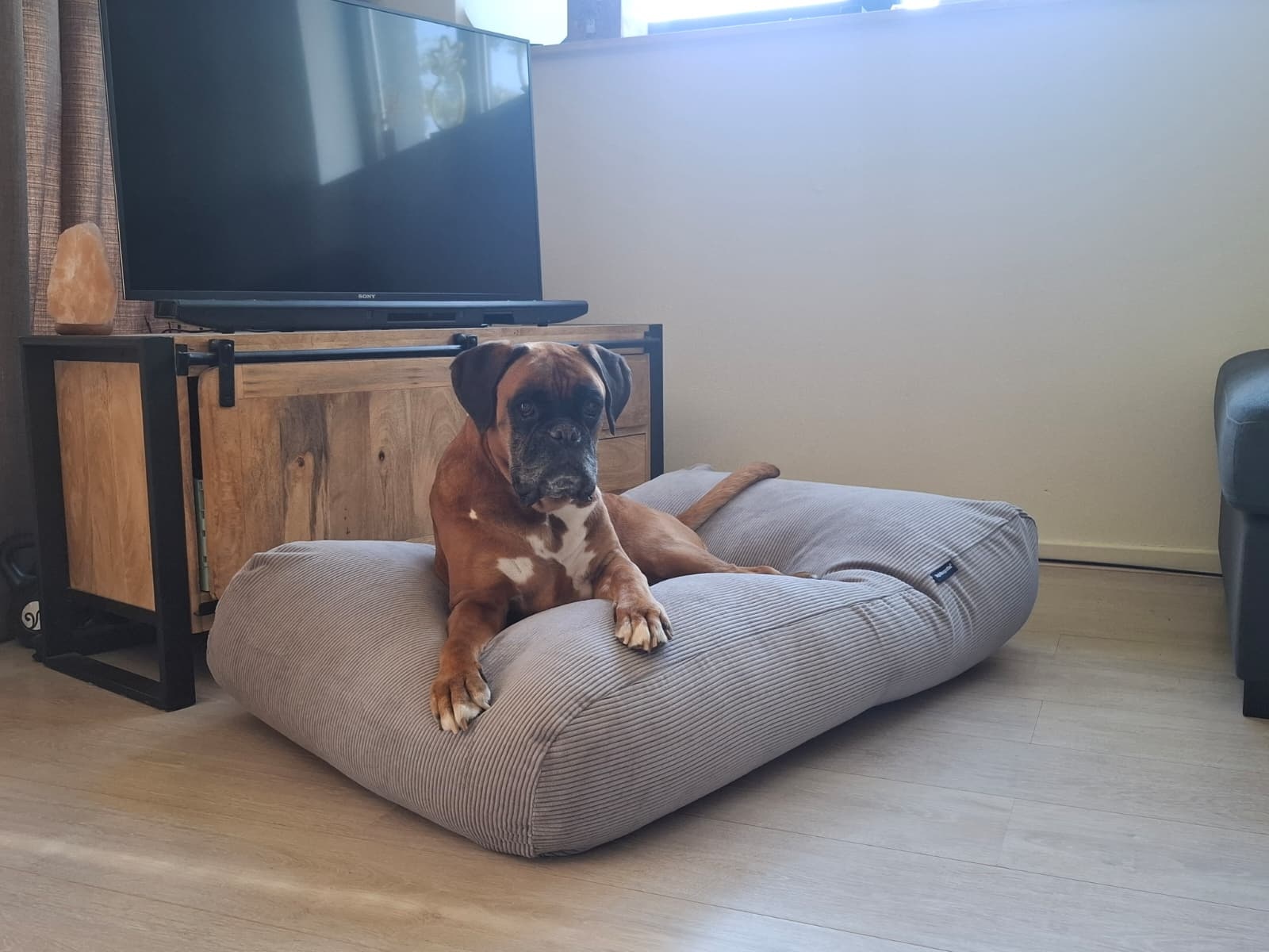 Hondenbed.nl Dog's Companion Hondenkussen muisgrijs soft ribcord