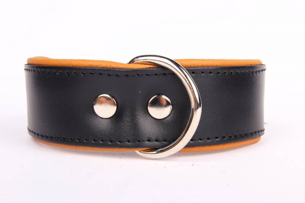 Algebra haat Opa Leren hondenhalsband | Camel | Breed | Diverse maten - Dog's Companion®