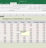 Microsoft  Microsoft Office Excel Cursus