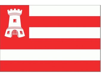 Alkmaarse vlag