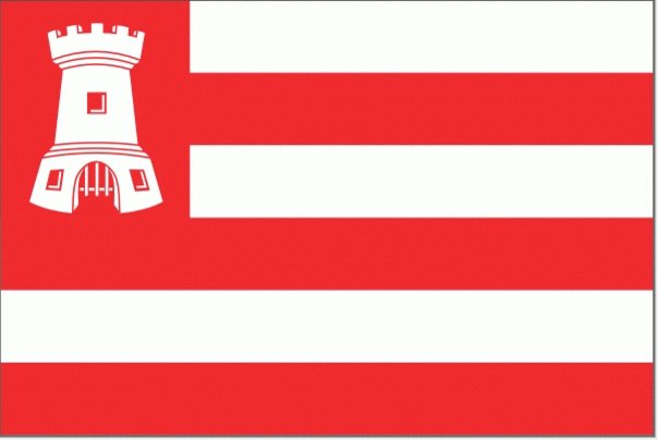 Alkmaarse vlag