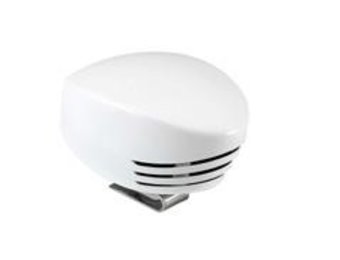 Marco Scheepshoorn Shark