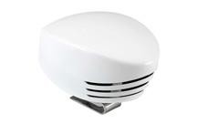 Marco Scheepshoorn Shark