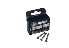 Talamex RVS Plaatschroef Lens-Philipskruiskop