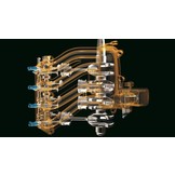 Yamaha 50 PK 4T Buitenboordmotor