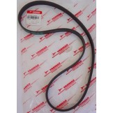 Yanmar V-snaar Waterpomp