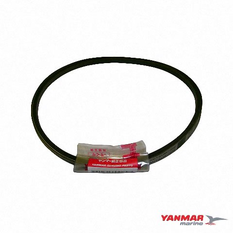 Yanmar V-snaar Waterpomp 104214-42780
