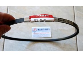 Yanmar V-snaar Waterpomp 25137-003300