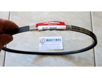 Yanmar V-snaar Waterpomp 25137-003300