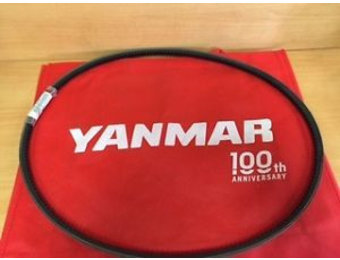Yanmar V-snaar Dynamo 119593-42280