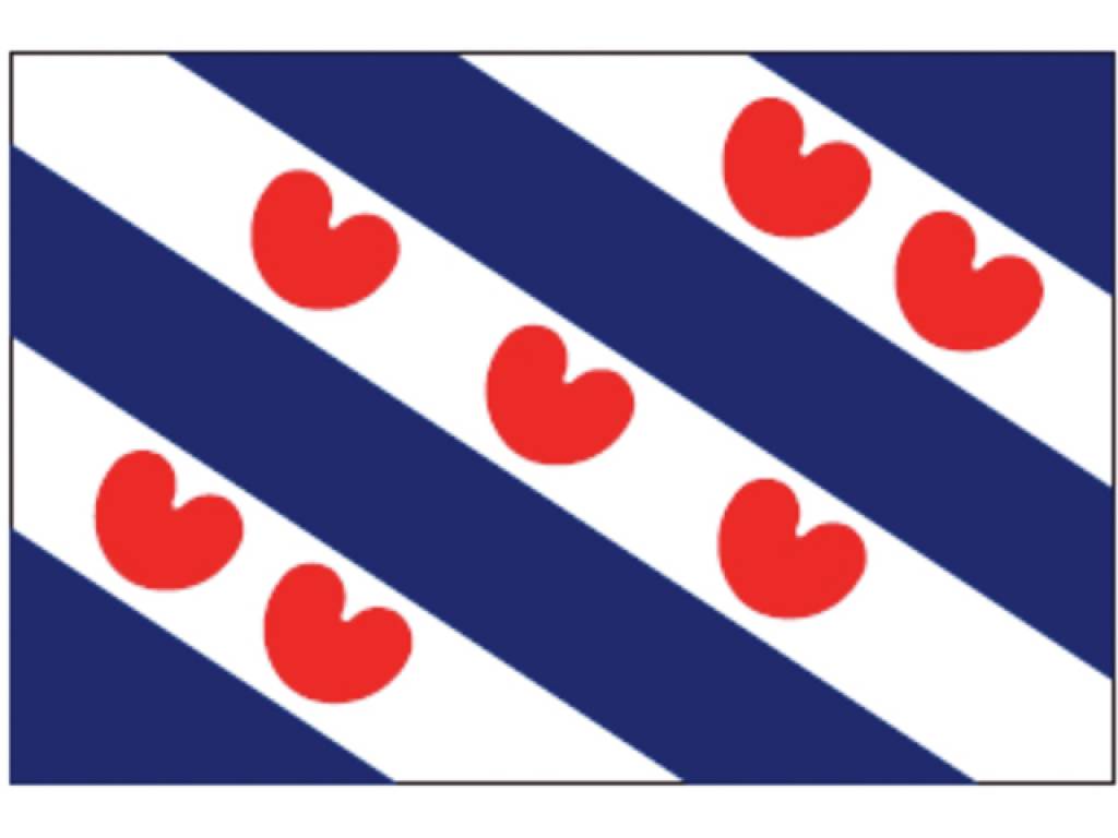 Talamex Friese vlag