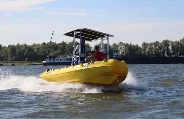 Whaly 500 R Professional