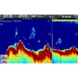 Raymarine CP570 Clear Pulse 570 Chirp