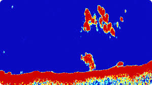 Raymarine CP370 ClearPulse 1KW Sonar Module