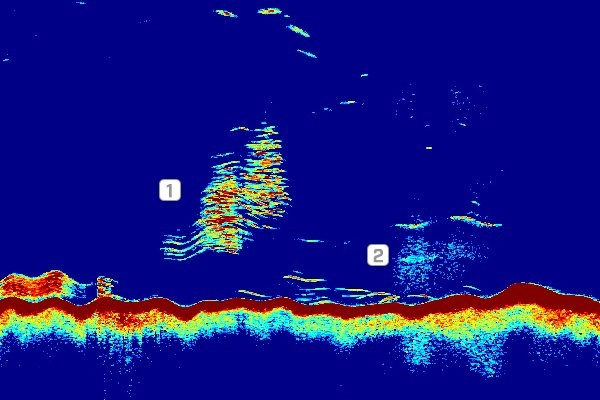 Raymarine CP470 Clear Pulse 470 CHIRP