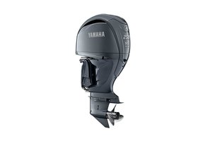 Yamaha 250 PK 4T
