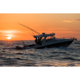 Simrad HALO24 Radar