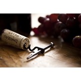 True Sleutelhanger Twistick