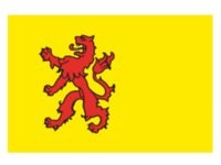 Talamex Provincievlag Drenthe, Formaat: 30 x 45 cm
