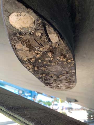 Propspeed Aangroeiwerende coating voor transducers